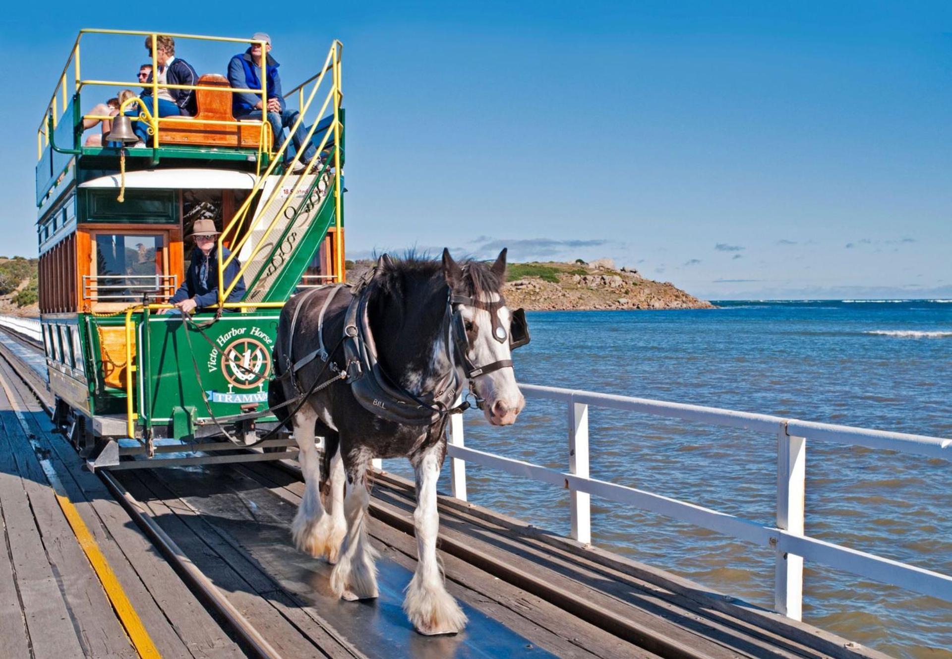 Victor Harbor Holiday Park 외부 사진